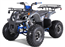 125cc ATV Tao Motor T-Force  Platinum 125 Mid Size ATV