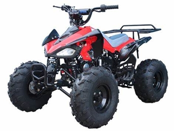 110cc Kids ATVs TaoTao cheetah Kids ATV, taotao atv