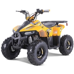 Tao Motor Rival Mud Hawk 6 110 Kids ATV
