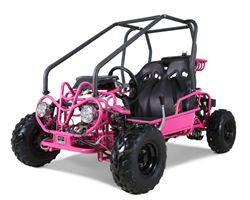 Tao Motor 110cc GoKart Power Buggie