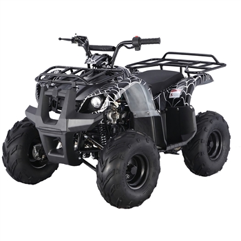 125cc ATV TaoTao 125D Kids ATV