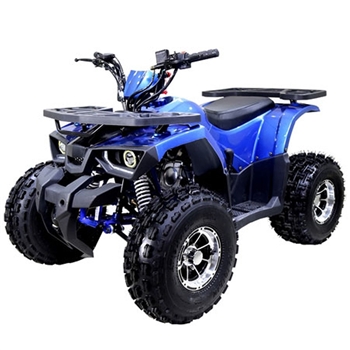 125cc ATV TaoTao RAPTOR 125