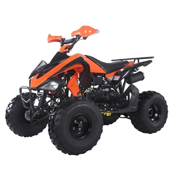 150cc Adult ATV sports TaoTao ATA - 150G