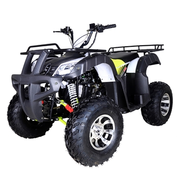 169cc ATV utility TaoTao Bull 200