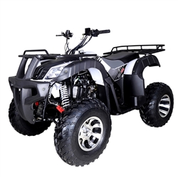 Tao Motor 169cc ATV utility TaoTao Bull 200