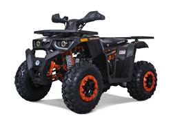 200cc ATV Tao Motor SPORT