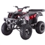 250cc Adult ATV Tao Tao Rhino 250