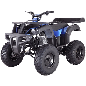 250cc Adult ATV Tao Motor Rhino 250