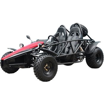 200 GoKart Power Buggie