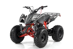 Vitacci 125 Falcon X Mid-Size ATV, VT-Max-125