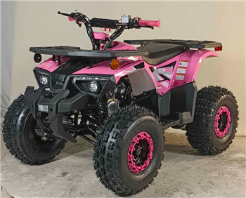 125cc ATV, Apollo ATVs, 125cc ATVs for sale, Apollo Blazer 9 DLX