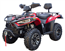 Vitacci TERMINATOR 300 4X4 ATV