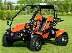 Vitacci Venture EFI 200 Go Kart