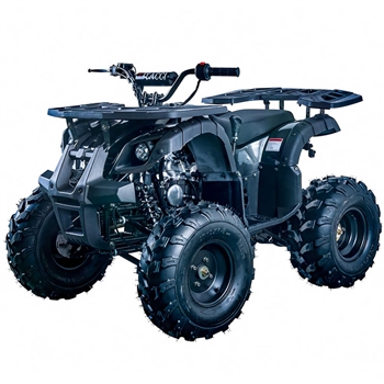 Vitacci 125CC ATV Rider 10 - Youth Four Wheeler