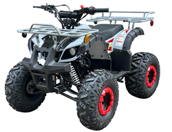 Vitacci 125CC ATV Rider 9  - Youth Four Wheeler
