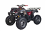 169cc ATV utility Cougar UT-200