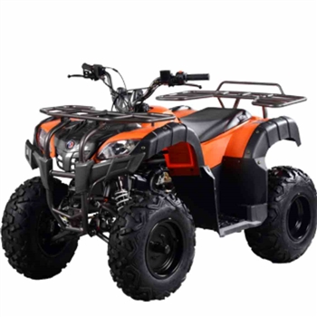 200 Utility ATV, Vitacci Rider EFI 200 Sport ATV