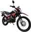 250cc Dirt Bike Vitacci Raven XL 250 Enduro Motorcycle