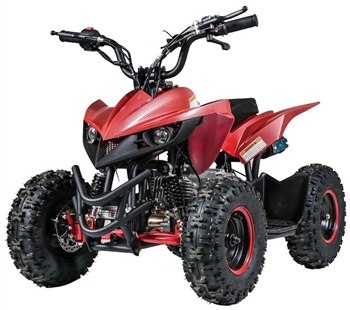 60cc Kids ATV MINI Racer