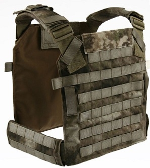 GearGuide Entry: Protection with Molle Plate Carrier: January 24, 2013