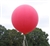 8210 Weather Balloon, 10 Grams Red