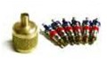 AVS1V CPS Valve Cores & SAE Brass Cap in Plastic Vial