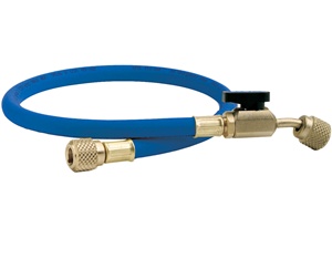 HS6BE CPS 6' Blue Standard BV Hose