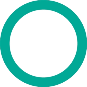 4088 FJC O-ring (10 Pack)