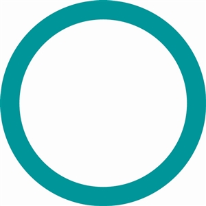 4178 FJC O-ring (10 Pack)