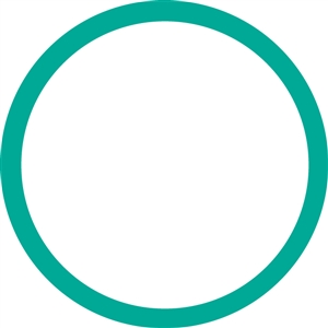 4179 FJC O-ring (10 Pack)