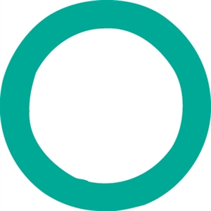 4193 FJC O-ring (10 Pack)