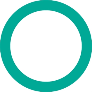 4234 FJC O-ring (10 Pack)