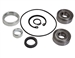KT3308 PROMAX Shaft Seal Ball Bearing Replacement Kit (CP1320 Compressors)