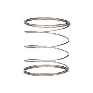 NB6993 Appion Debris Tube Spring