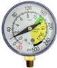 534487 PROMAX Inlet Gauge 500psi