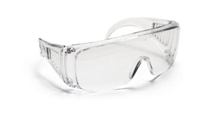 5120 SAS Safety Worker Bees Safety Specs - Clear