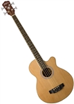 Washburn AB5K Acoustic-Electric Bass Guitar - Natural with Gig Bag