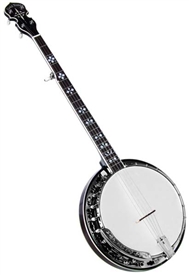 Gold Tone BG-150F 24 Bracket Bluegrass Resonator Banjo w/ Bag