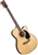 Blueridge BR-73CE 000 Acoustic/Electric Guitar w/ Case Craftsman Series