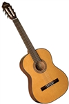 Washburn C40 Classical Acoustic Guitar - Natural