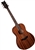 Dean AXS Series Parlor Mahogany Body Acoustic Guitar - AX P MAHOGANY