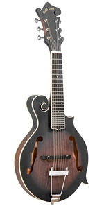 Gold Tone F-6 6-String Mandolin F-Style Mando-Guitar w/ Case
