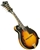 Gold Tone GM-70+ All Solid F-Style Professional Mandolin GM-70 Plus