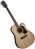 Washburn HD10SCE Acoustic-Electric Cutaway Solid Top Guitar with Hard Case - Mahogany