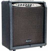 Kona KB50 50 Watt Bass and Keyboard Amplifier with 12" Amp Speaker