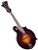 The Loar LM-520-VS Hand Carved F-Style All Solid Mandolin w/ Case