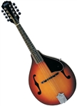 Washburn M1S A-Style Mandolin - Sunburst