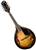 Oscar Schmidt OM10E A-Style Acoustic/Electric Mandolin by Washburn