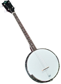 Rover RB-20T Open Back Tenor Banjo