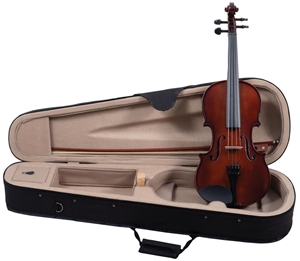 Palatino VN-350 Violin Hand Carved Violin "Campus" Outfit